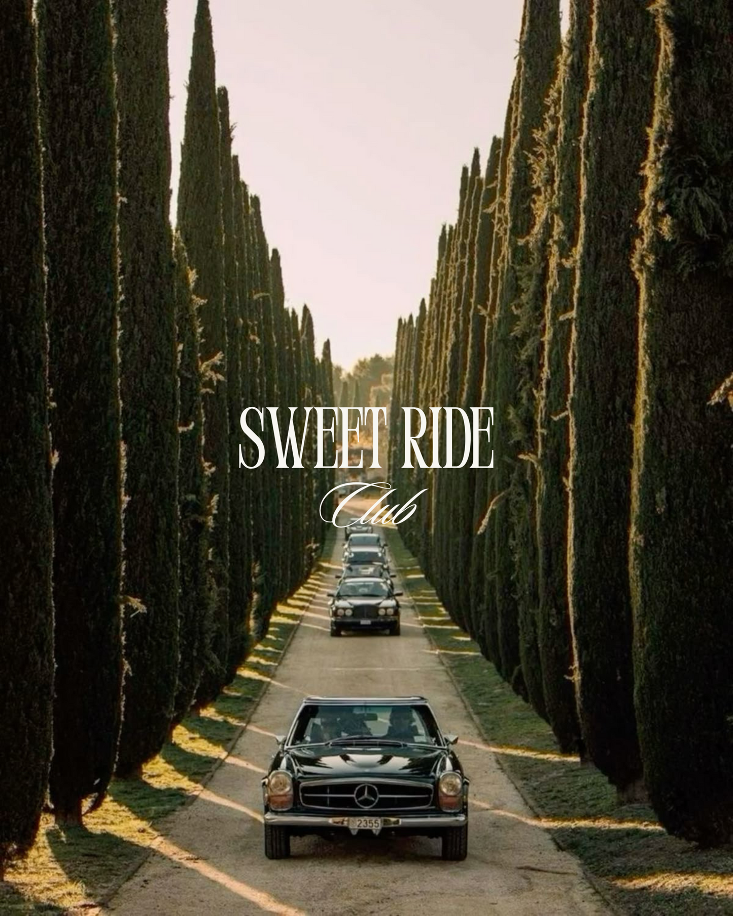 Musk©️