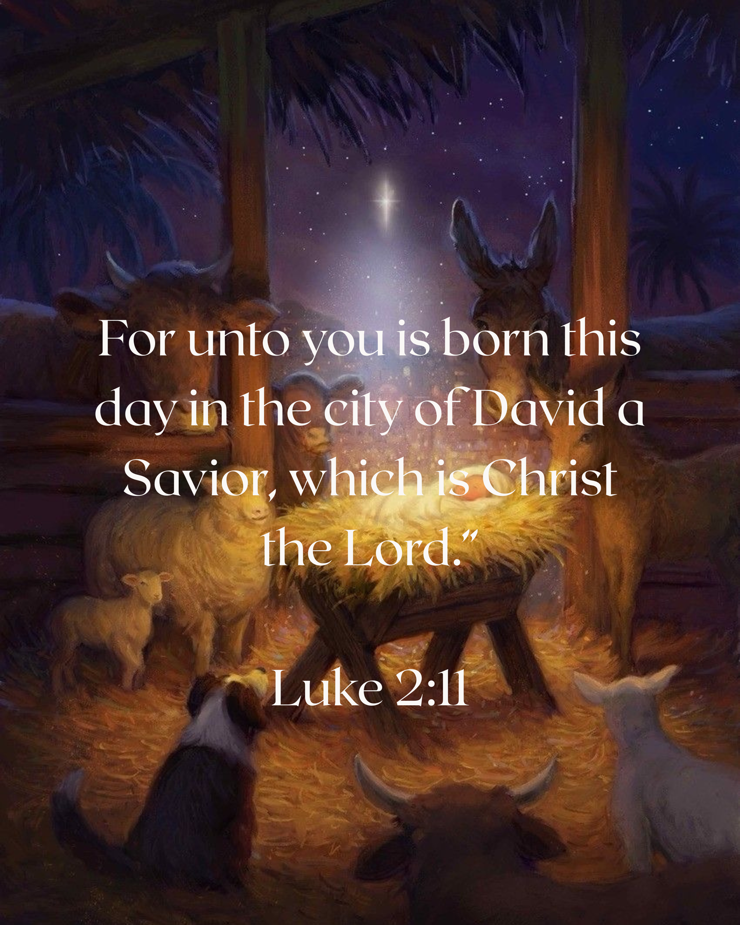 Limited Edition “Nativity”